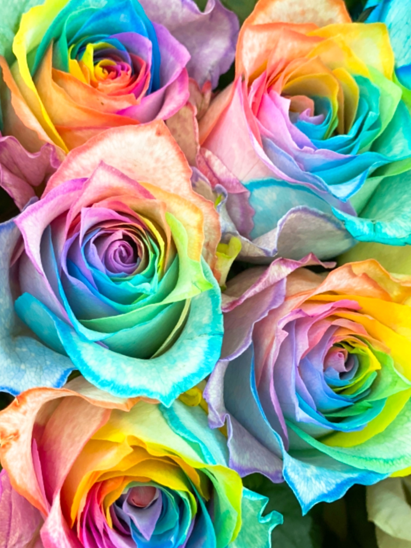 彩色花の作品イメージ 2